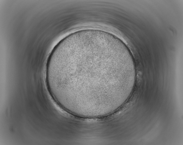 X0000112961523200909171247