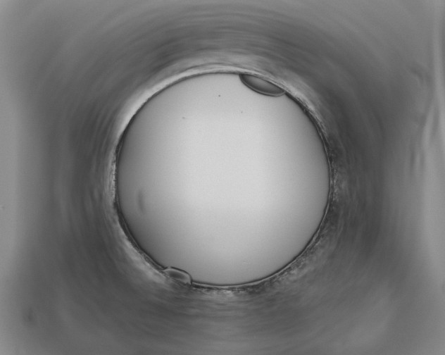 X0000112961524200909171247