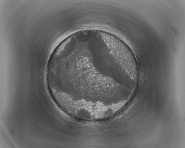 X0000112961525200909171247