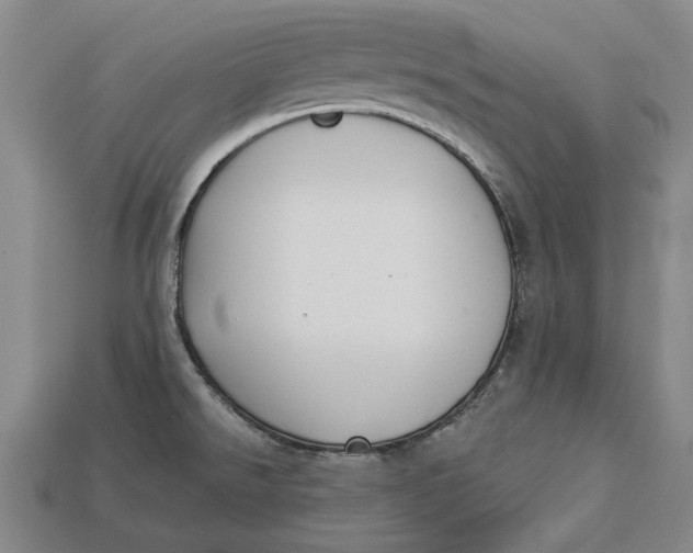 X0000112961526200909171247