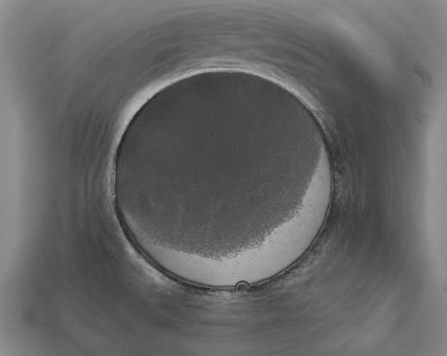 X0000112961527200909171247