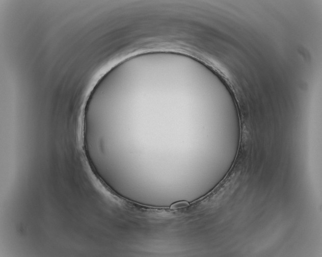 X0000112961528200909171247