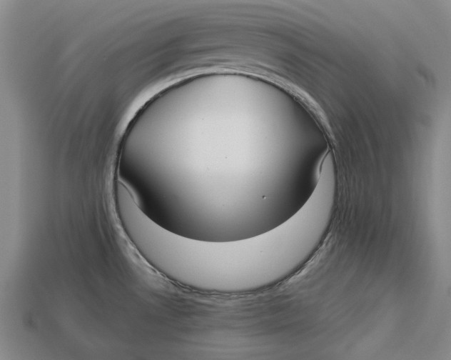 X0000112961530200909171247