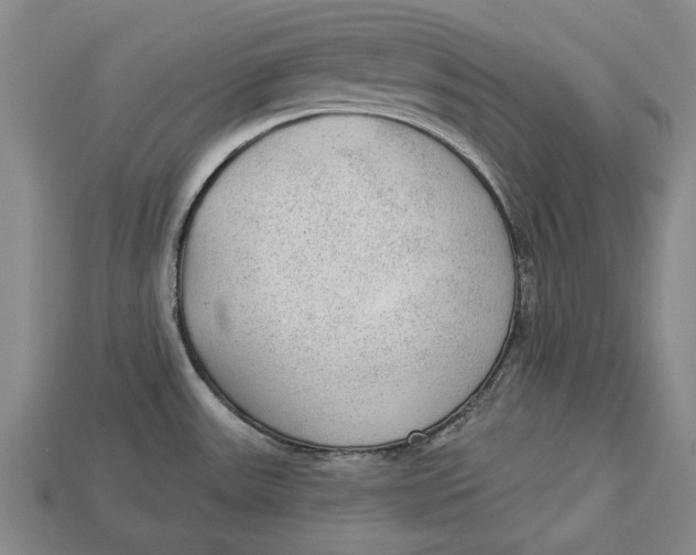 X0000112961531200909171247