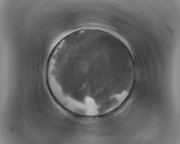 X0000112961533200909171247