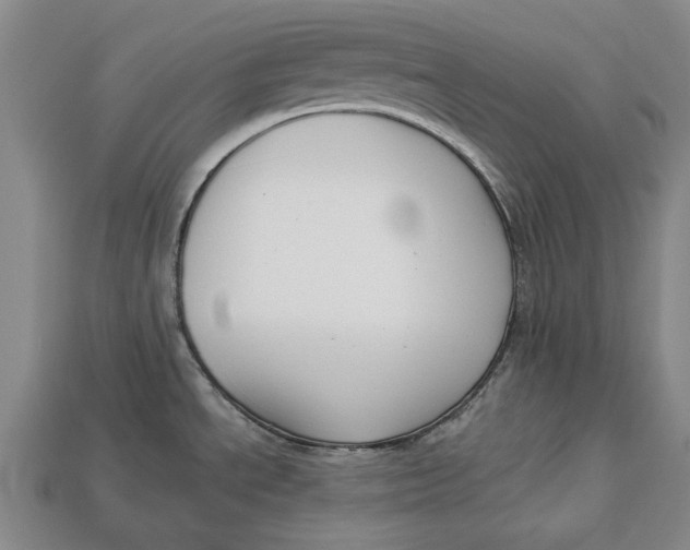 X0000112961534200909171247