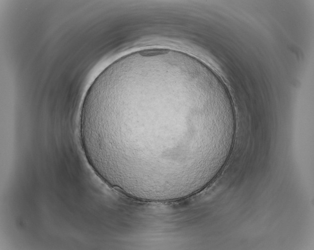 X0000112961536200909171247