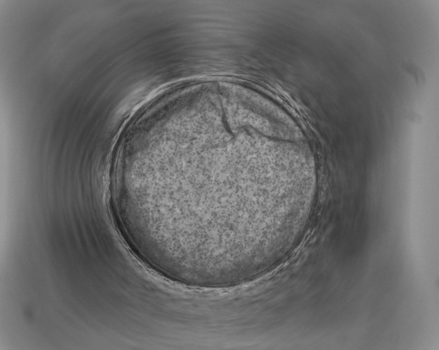 X0000112960002200909241209