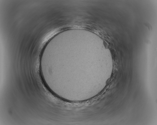 X0000112960005200909241209