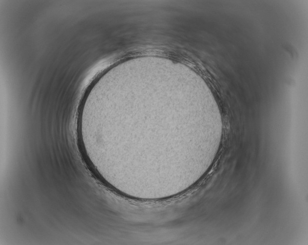 X0000112960006200909241209