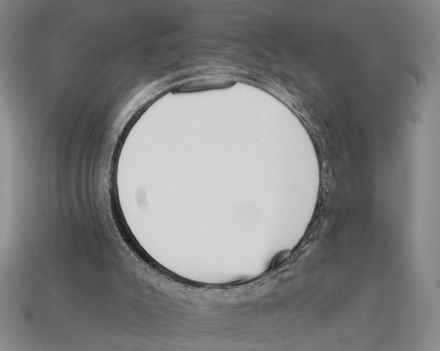 X0000112960007200909241209