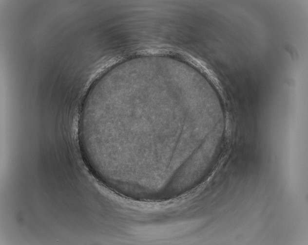 X0000112960010200909241209