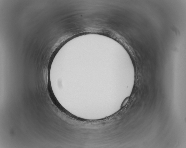 X0000112960011200909241209