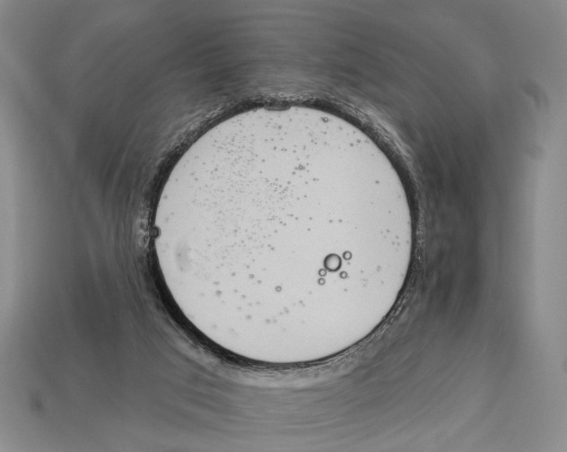 X0000112960017200909241209