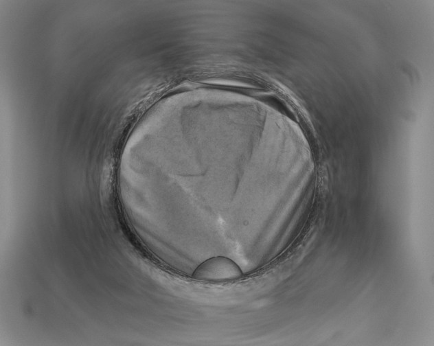 X0000112960018200909241209