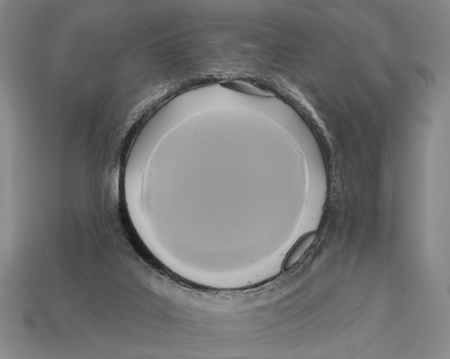 X0000112960019200909241209