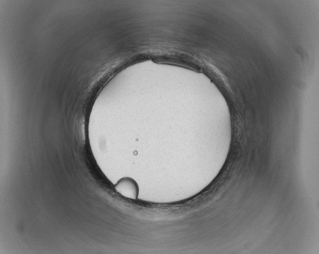 X0000112960020200909241209