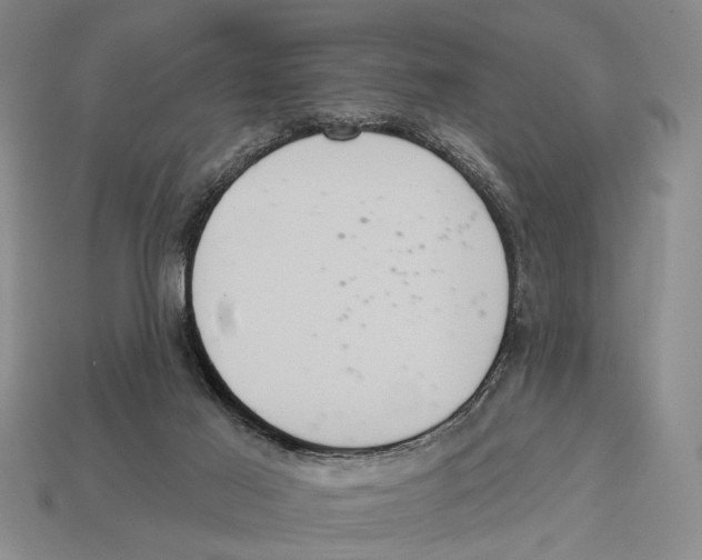 X0000112960021200909241209