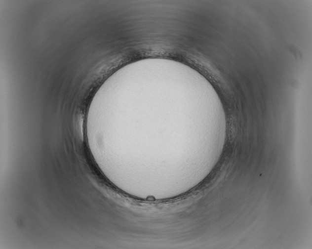 X0000112960022200909241209