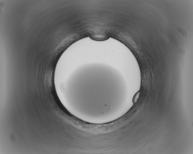 X0000112960023200909241209