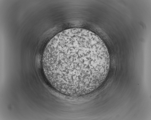 X0000112960026200909241209