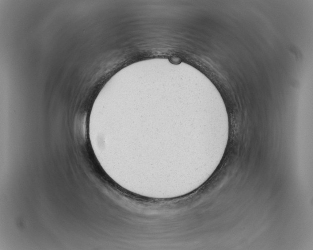 X0000112960028200909241209