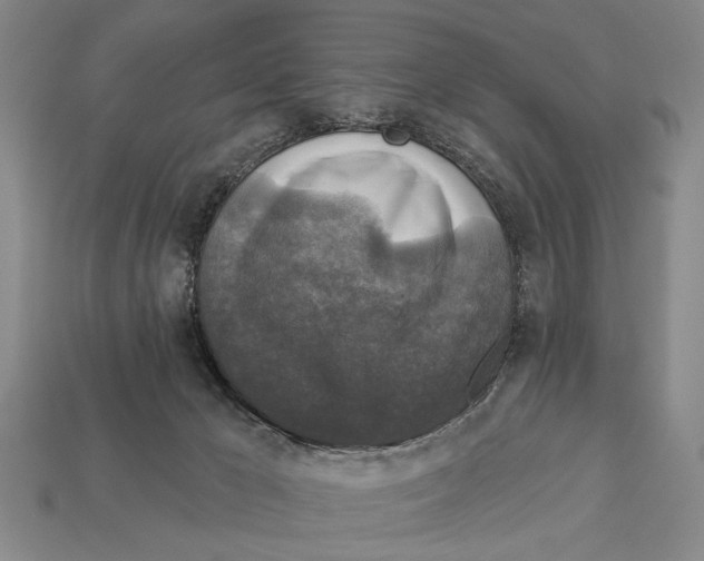 X0000112960029200909241209