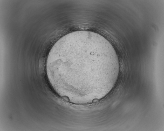 X0000112960030200909241209