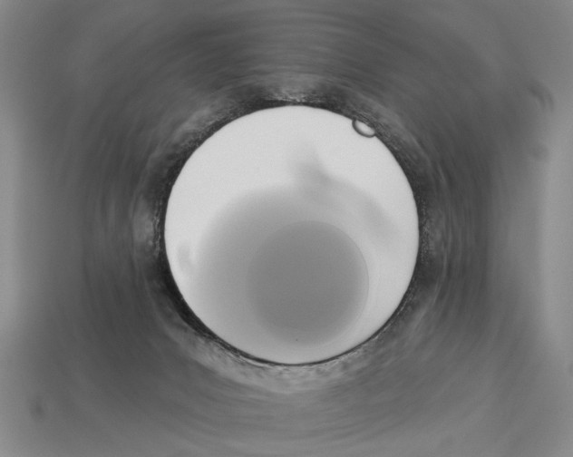 X0000112960031200909241209