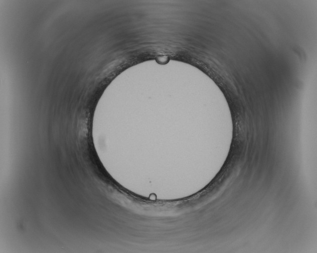 X0000112960032200909241209