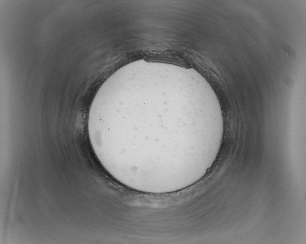 X0000112960033200909241209