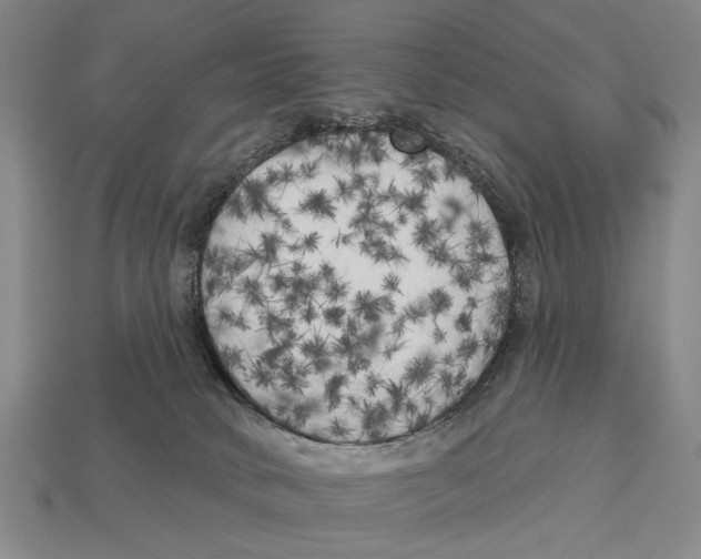 X0000112960034200909241209