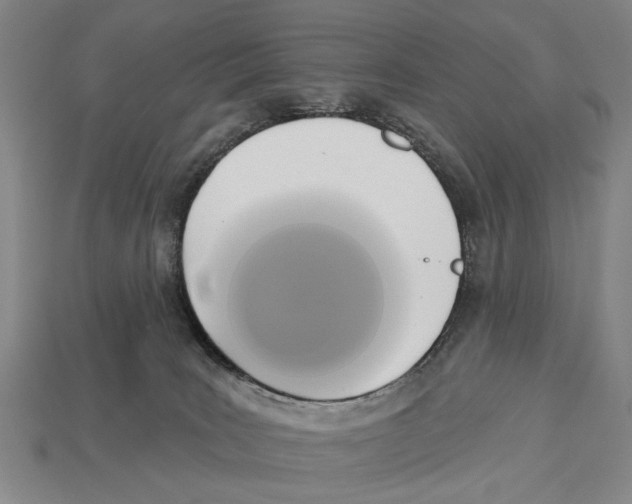 X0000112960035200909241209