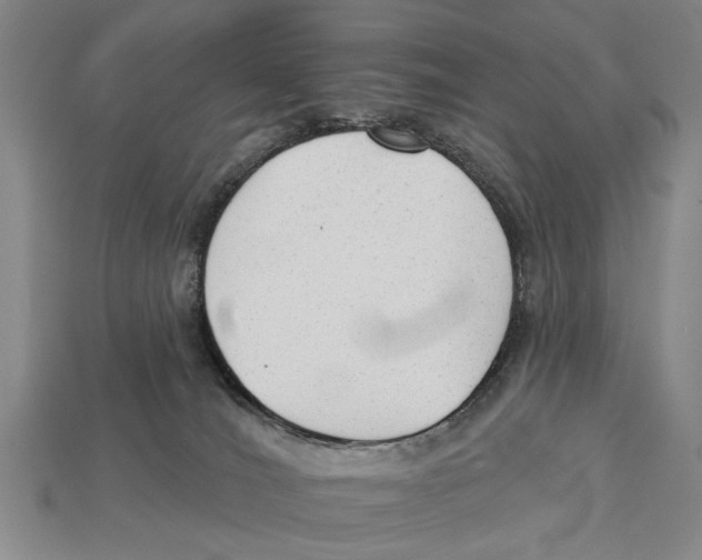 X0000112960036200909241208