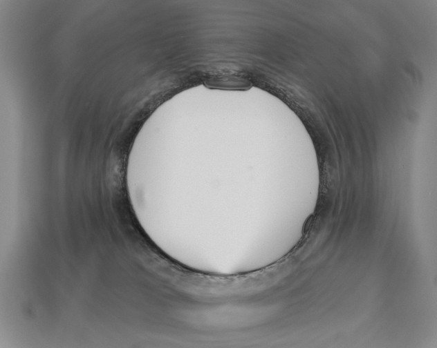 X0000112960037200909241208