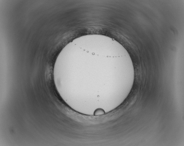 X0000112960038200909241208