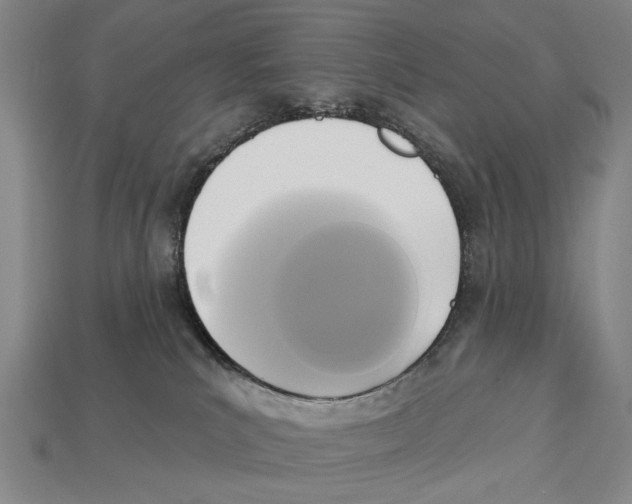 X0000112960039200909241208