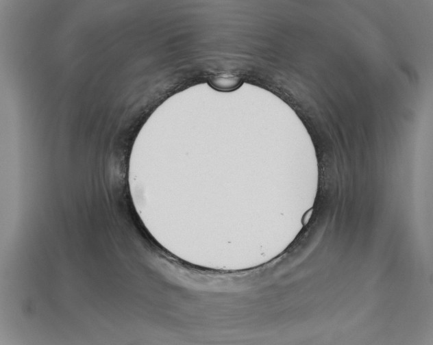 X0000112960040200909241208