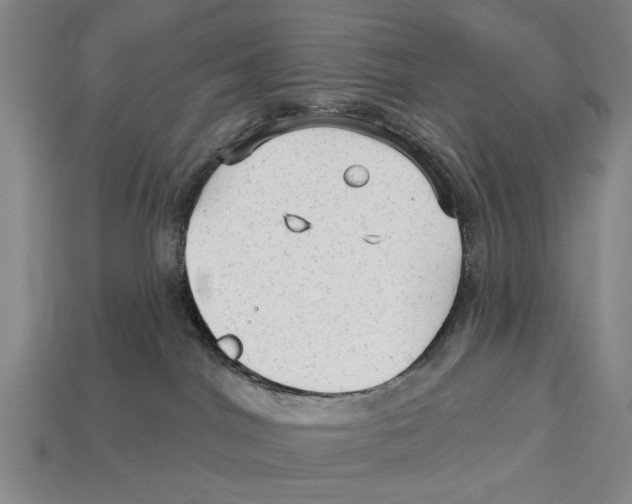 X0000112960044200909241208