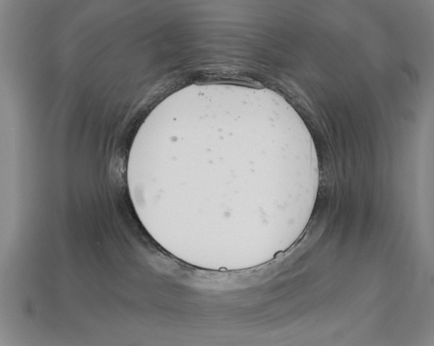 X0000112960045200909241208