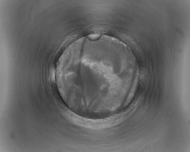 X0000112960046200909241208