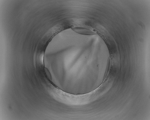 X0000112960047200909241208