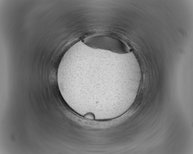 X0000112960048200909241208