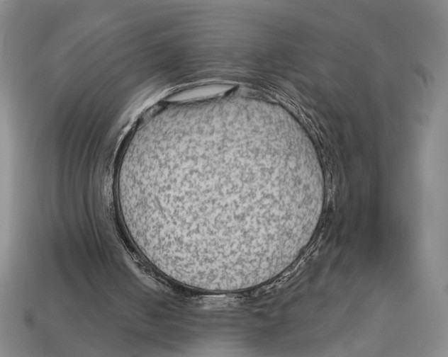 X0000112960050200909241208