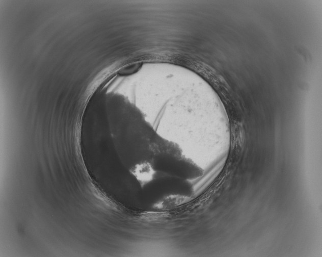 X0000112960051200909241208