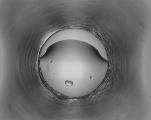 X0000112960052200909241208