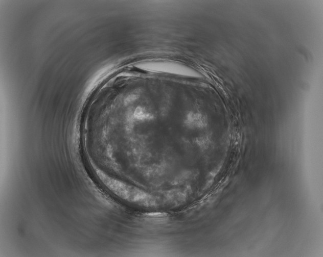 X0000112960053200909241208