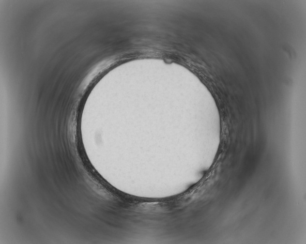 X0000112960054200909241208