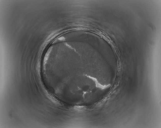 X0000112960055200909241208