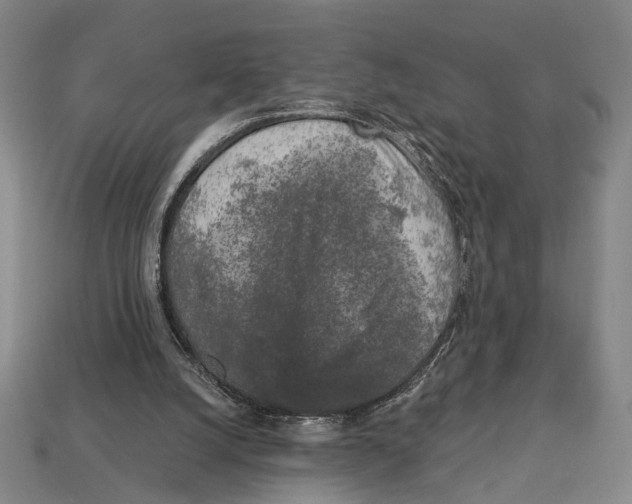 X0000112960056200909241208